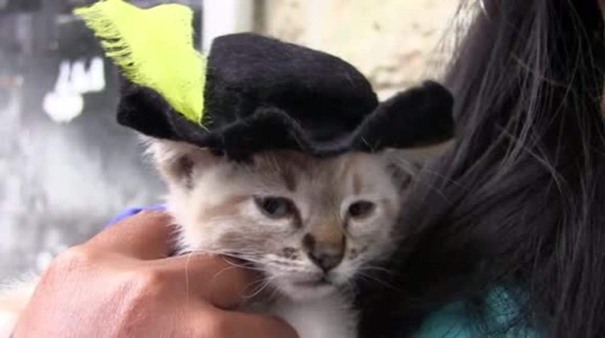 Bark! The Herald Angels Sing! Mexicans take their PETS to church for a blessing