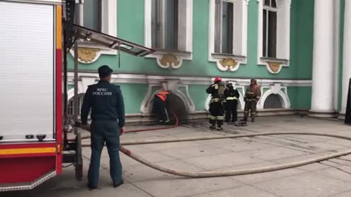 Long live the Dusya! Vets save iconic Hermitage cat after fire at Winter Palace