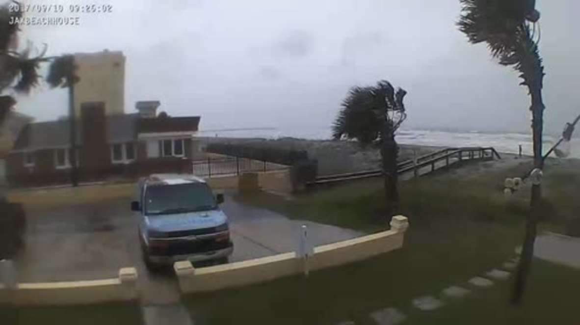 USA: Palm trees bend in the wind as Hurricane Irma strikes North Florida