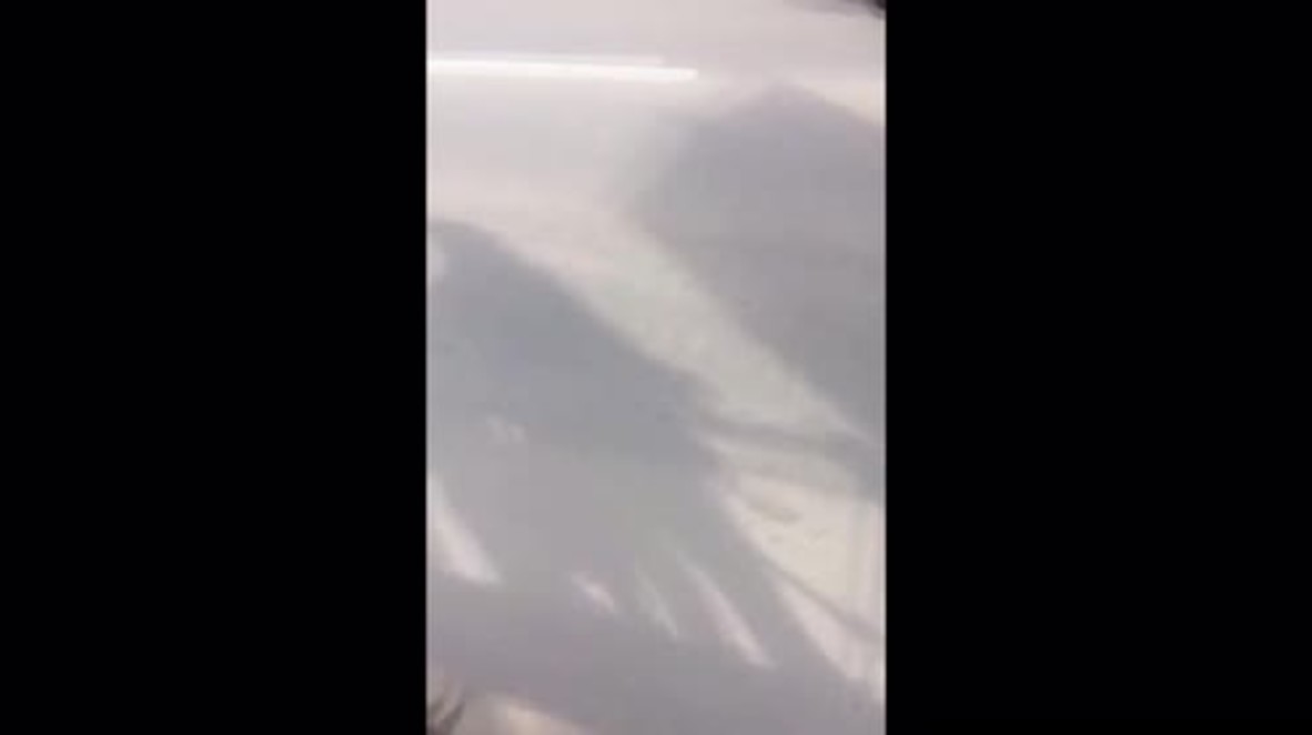 Hair-raising! Girls rescue scaredy cat from busy Saint Petersburg highway *EXCLUSIVE*