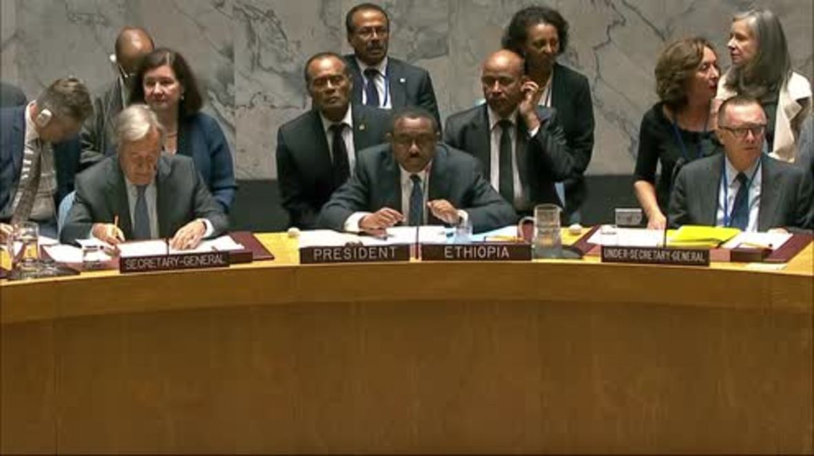 UN: Peacekeepers should only use force ‘in self-defence and protection of mandate’ - Lavrov