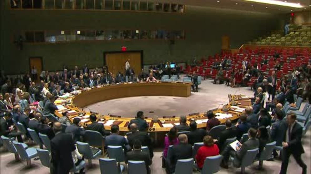 UN: ‘A landmark’ - UN envoy Haley lauds resolution to probe IS crimes in Iraq