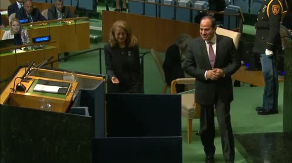 UN: Egypt’s Sisi goes off script in confusing Israel-Palestine plea for peace