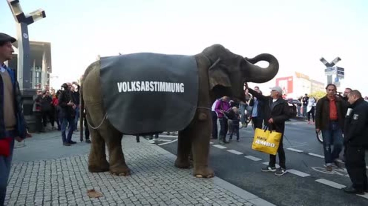 Germany: 'Elephant in the room' paraded through Berlin in direct democracy protest