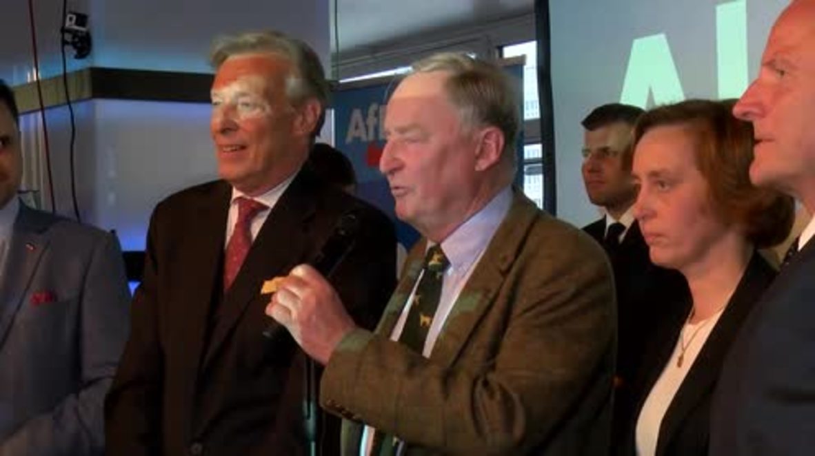 Germany: AfD talk of 'political revolution' after election results