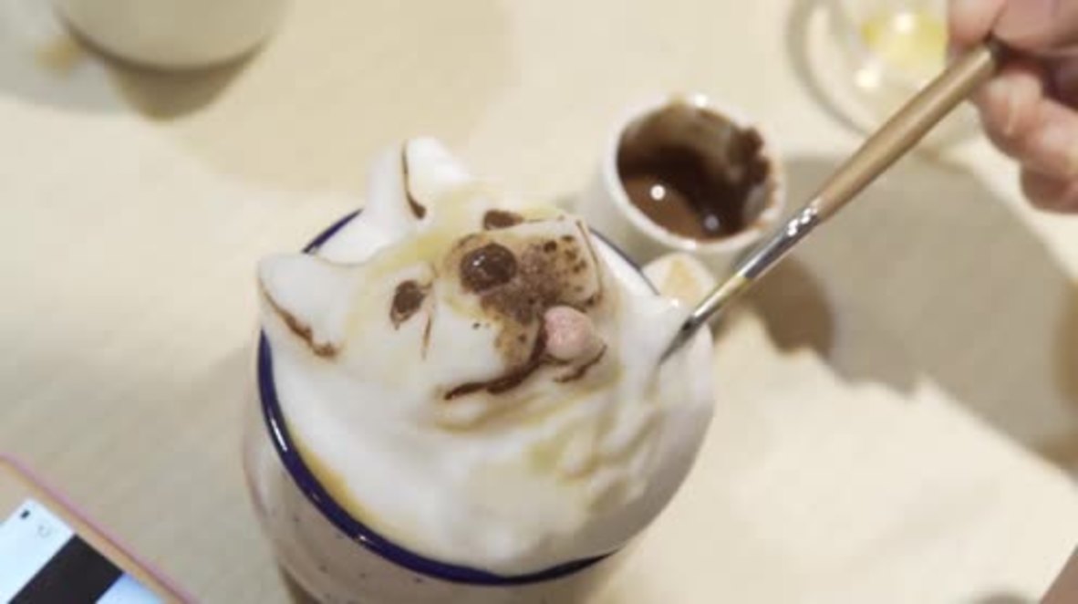 Had a RUFF day? These animal portrait coffees will brighten your mood