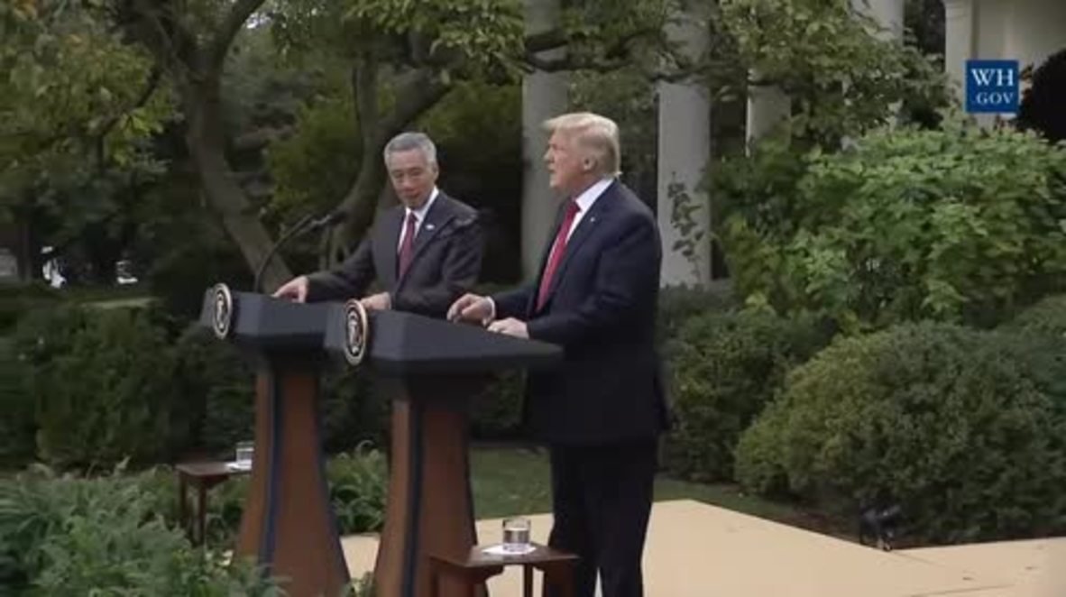USA: 'So true' - Trump praises accuracy of own statement