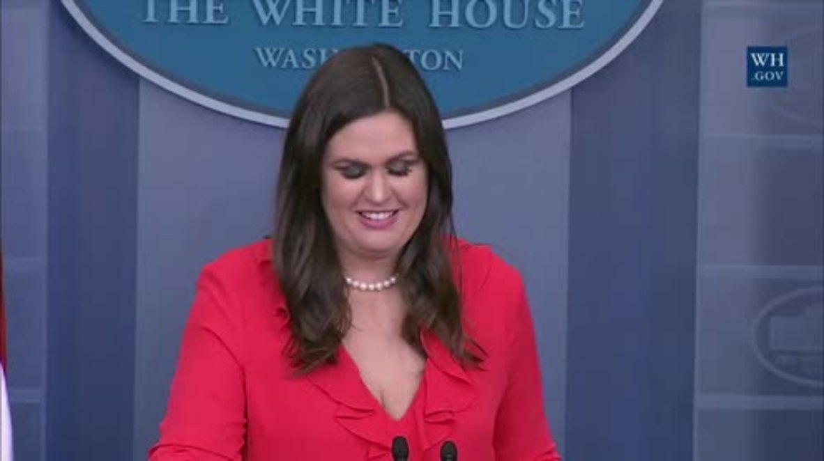 USA: Russia ‘does not care’ about stopping chemical weapons – White House on Russian UN veto