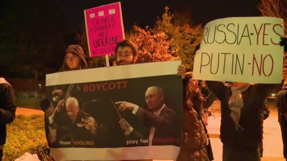 USA: Protesters condemn DC 'Concert of Unity' as 'Putin's soft power in US'