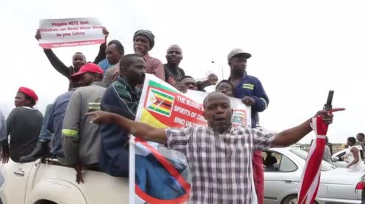 Zimbabwe: Protesters celebrate anticipated dismissal of President Mugabe