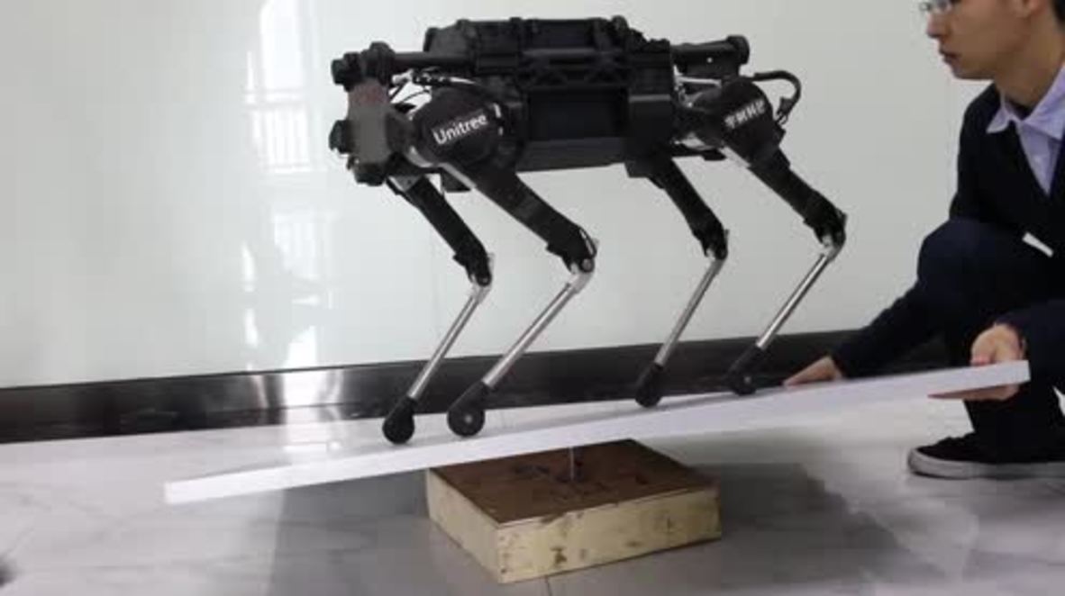 Release the hounds! Chinese firm ready to put $25,000 RoboDog on the market