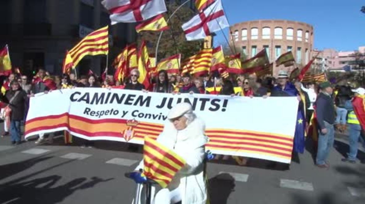 Spain: Thousands march for Spanish unity in Girona