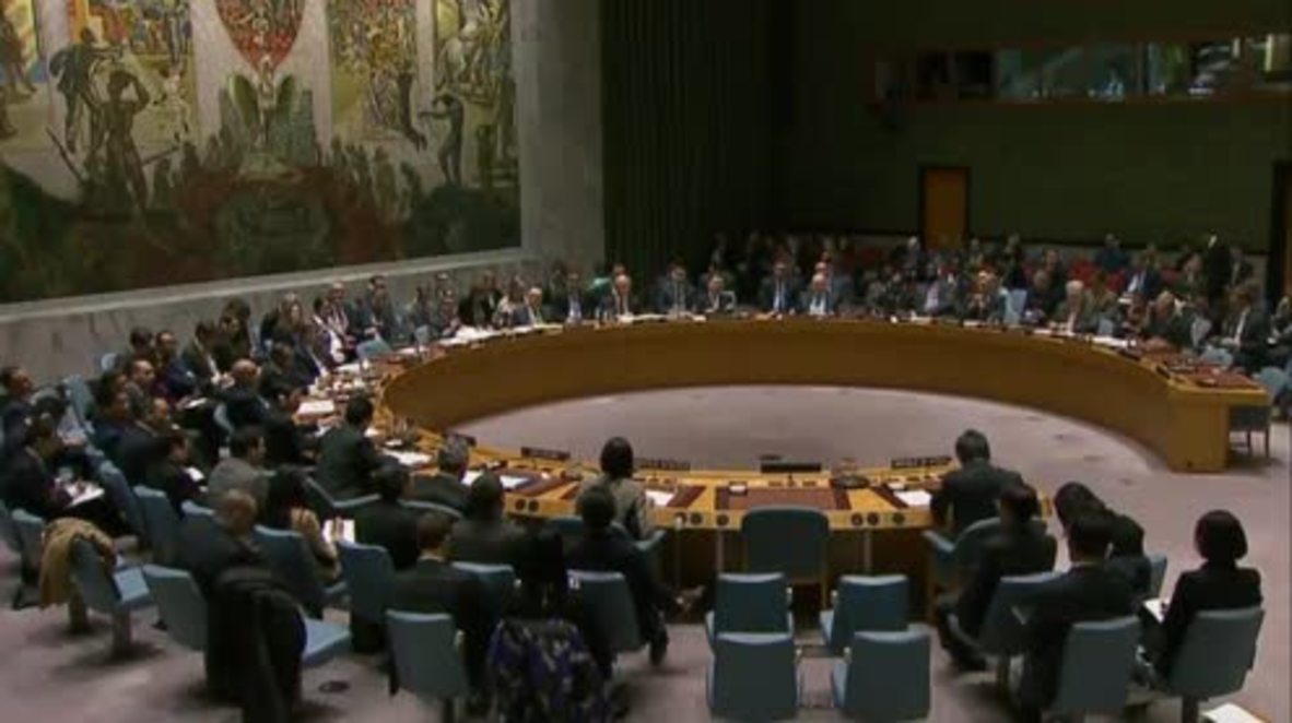 UN: US-South Korea activities 'escalate tensions' with DPRK - Russian envoy