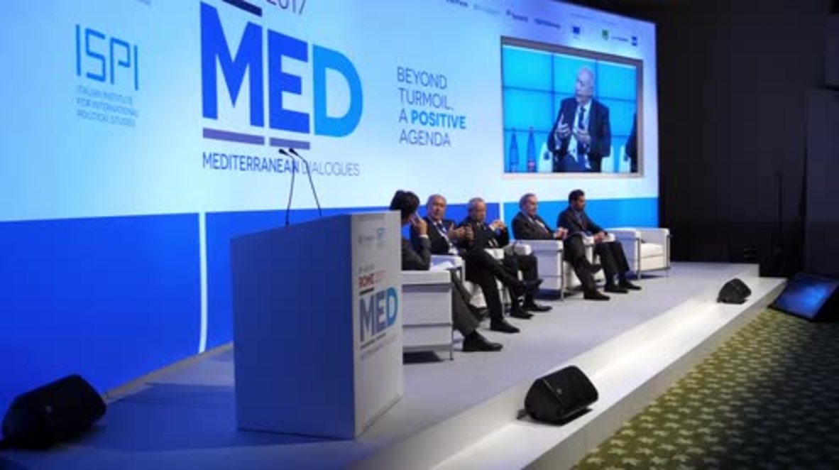 Italy: Egyptian FM encourages 'resolution' on Israeli-Palestinian conflict at MED summit