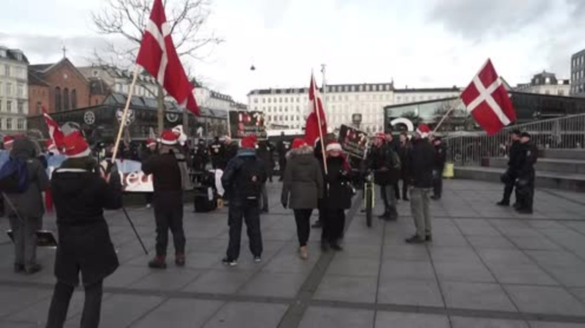 Denmark: Pegida rally marches through Copenhagen