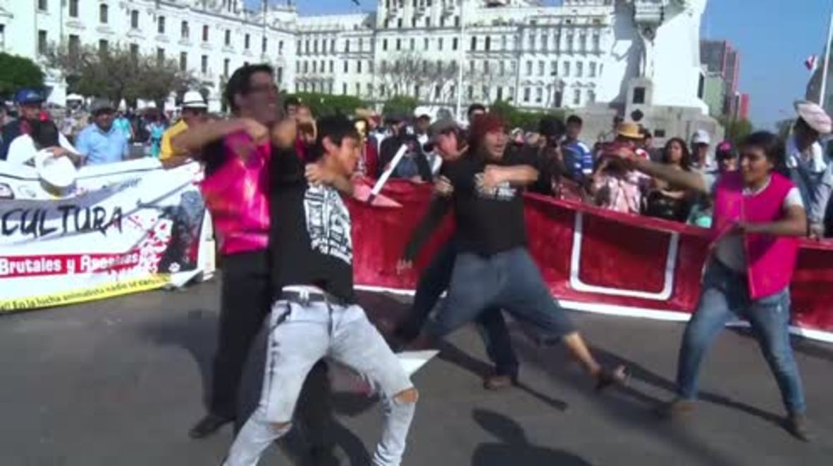 Peru: Activists stage mock bullfight to highlight the tradition's cruelty