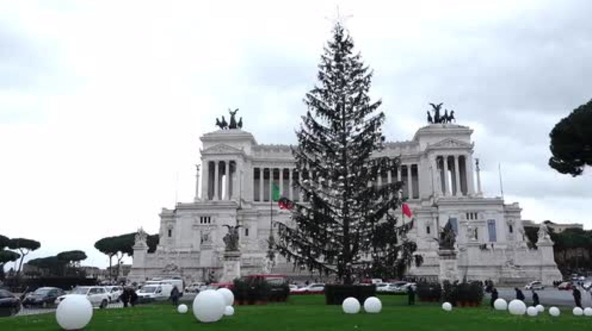 Money doesn’t grow on trees – Rome’s €48,000 'mangy' Christmas tree experiment