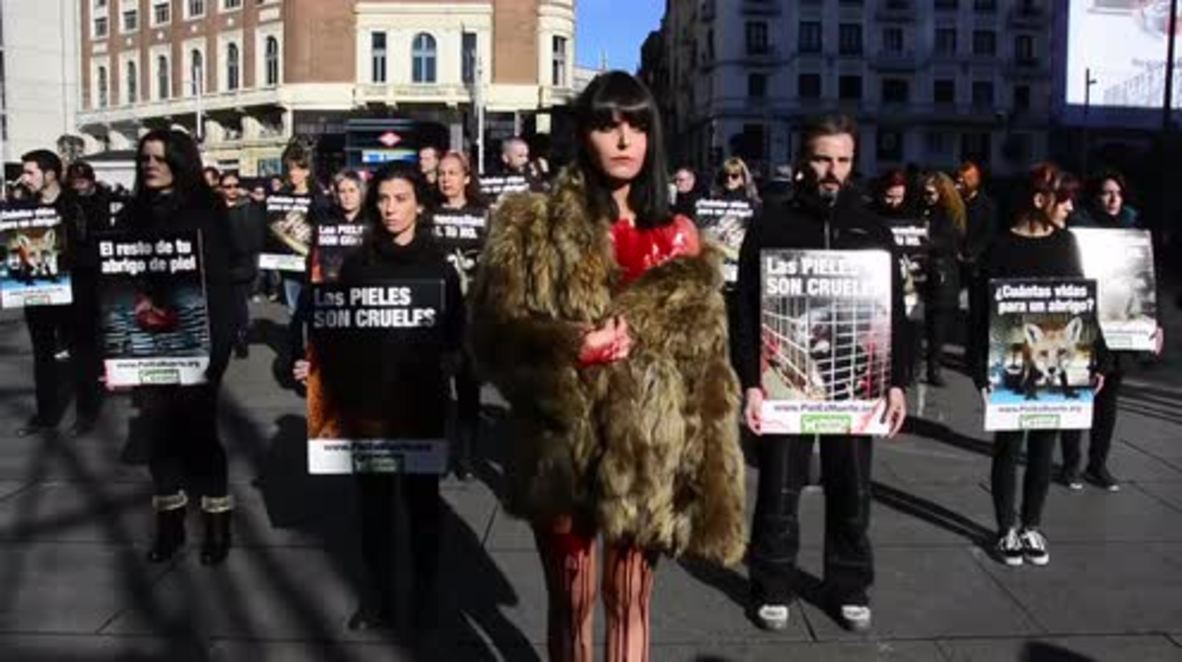 Spain: 'How many lives for a coat?' - Animal rights activists decry fur in fashion
