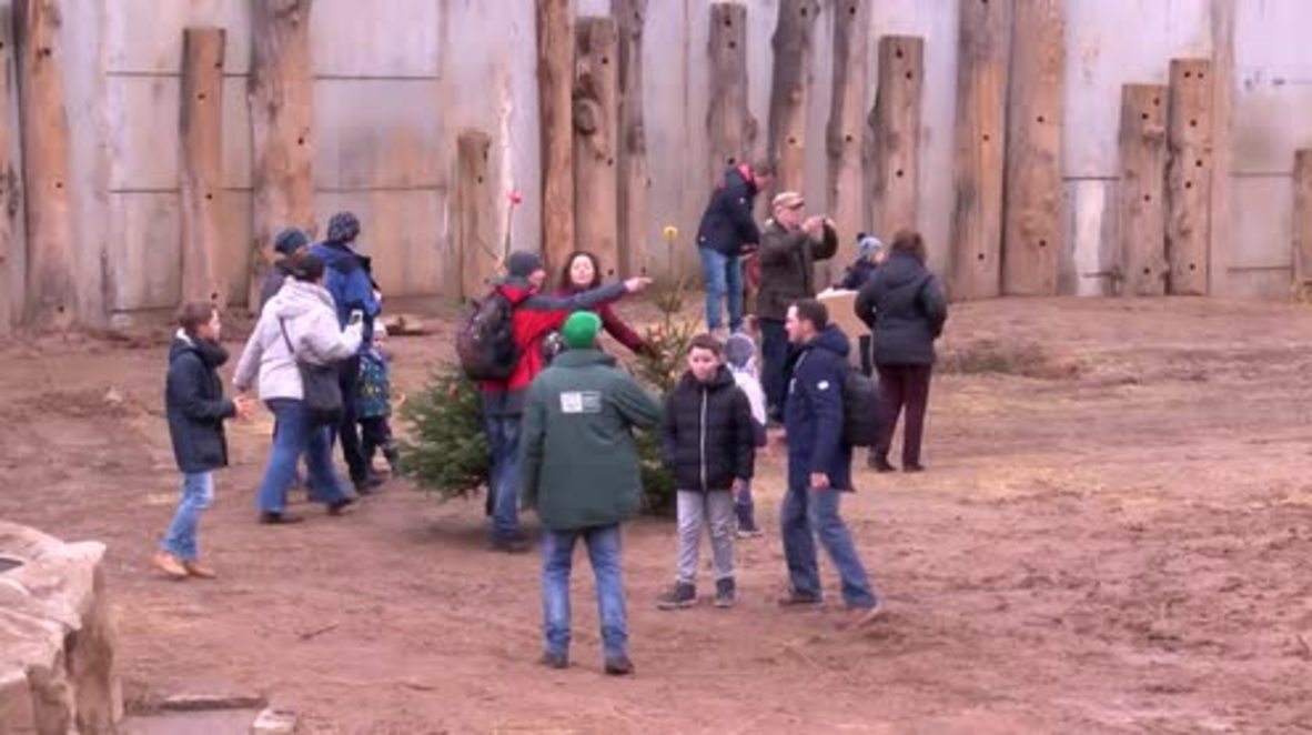 Father Christmas pays a festive visit to Halle’s zoo!