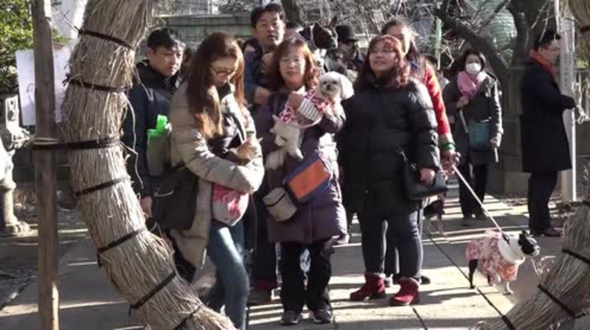 Japan: Shrine prayers so pooch doesn’t get sick as a dog