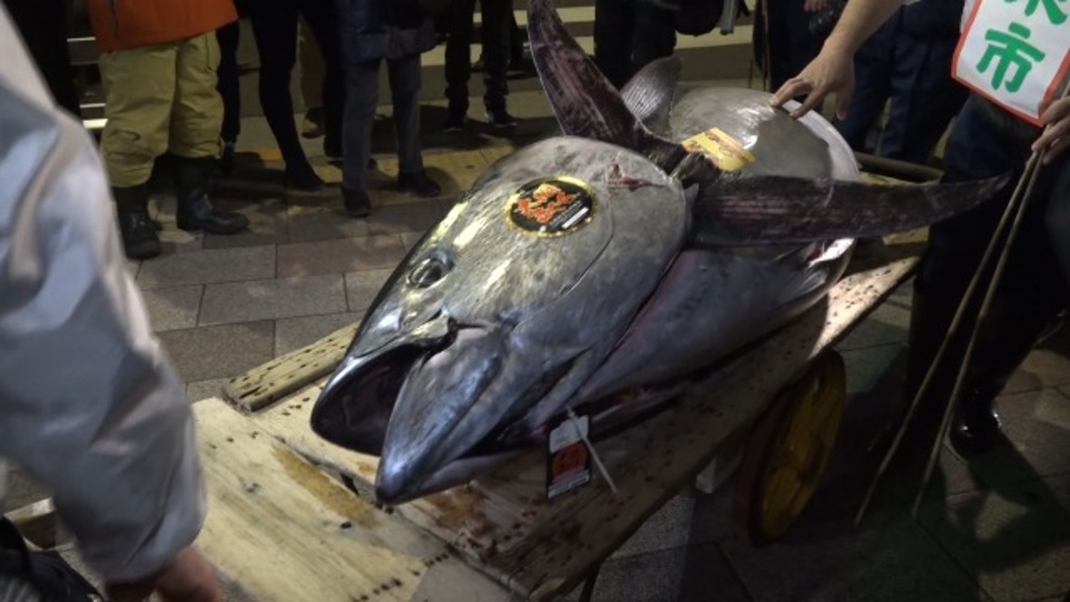 Japan: Rare Bluefin tuna sells for $323,000 at Tokyo market