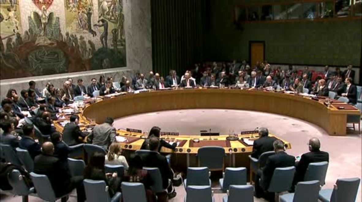 UN: ‘Nothing will stop America from standing in solidarity with Iranian protesters,' says Haley