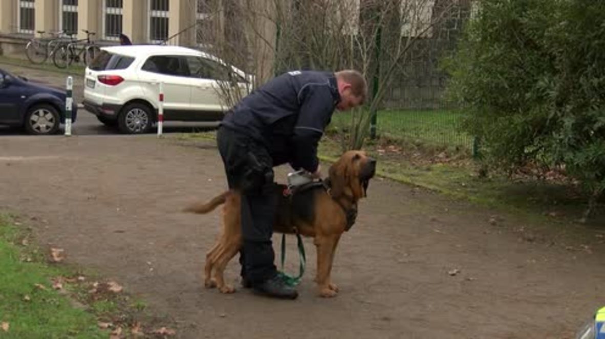 Germany: New study suggests there's more to sniffer dogs than 'Mantrailing'
