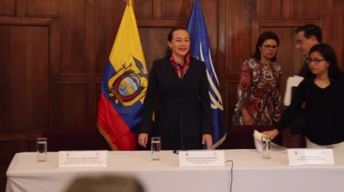 Ecuador: 'Assange granted naturalization,' says Ecuadorian FM
