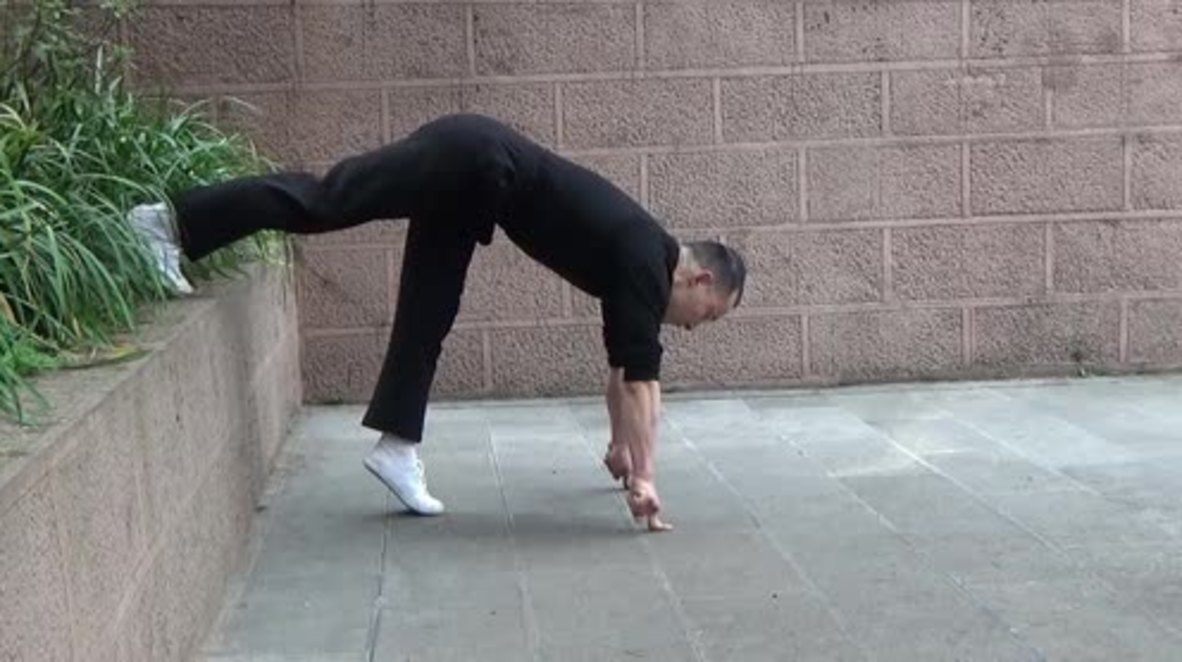 Zentastic! Kung Fu Master works out on just two fingers