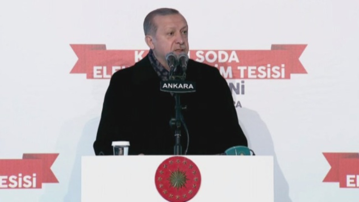 Turkey: Erdogan lambasts US 'terror army' plan