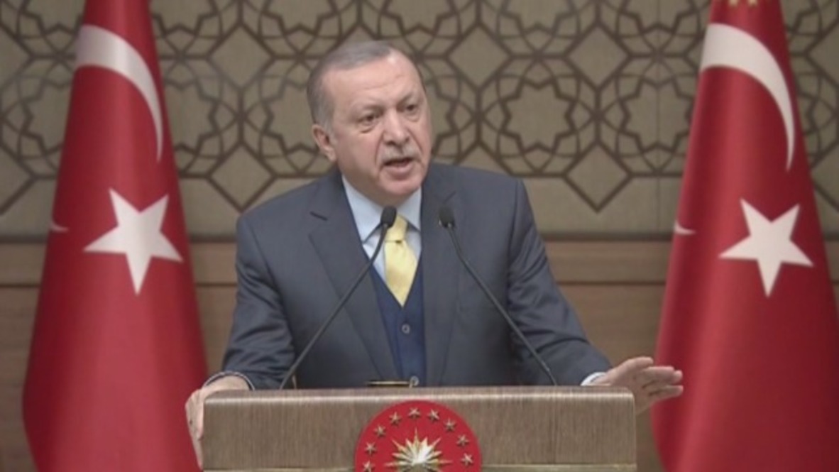 Turkey: 'We will uproot them' - Erdogan on Afrin Kurdish militias