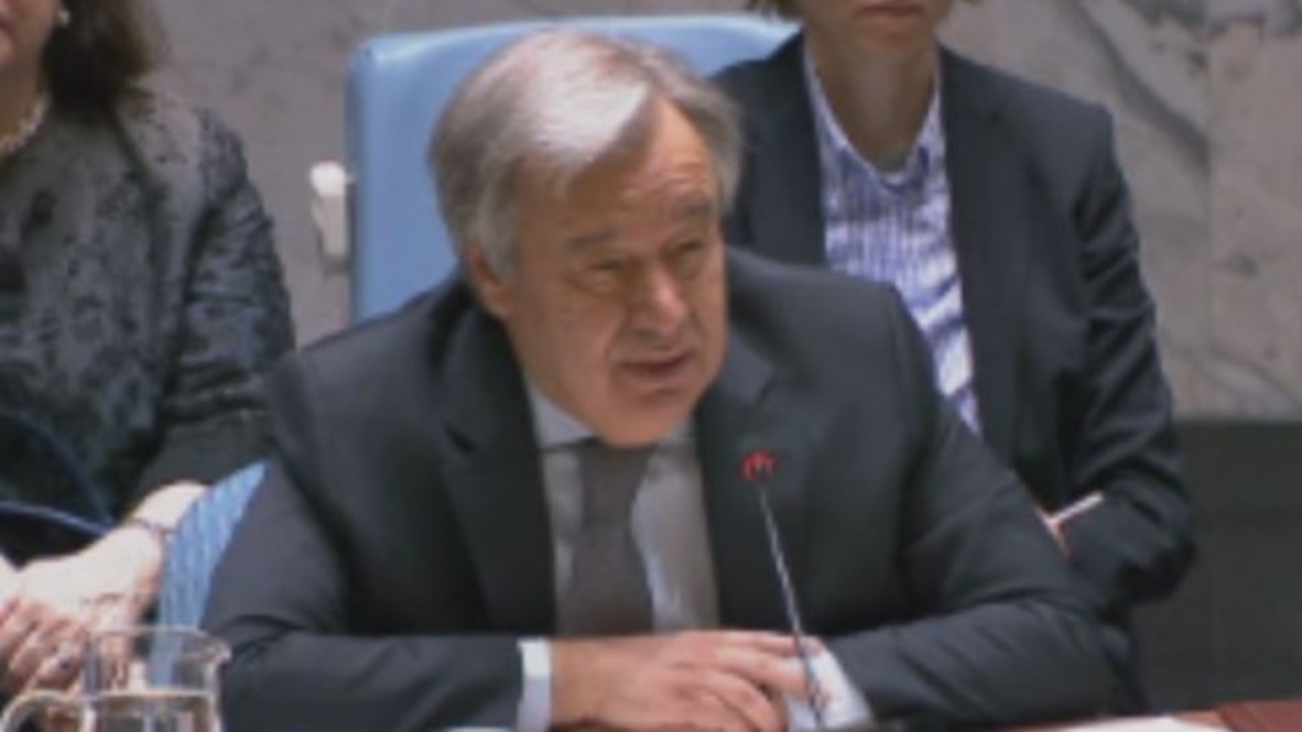 ONU: Guterres pide la suspensión inmediata de todas las "actividades bélicas" en Ghouta Oriental