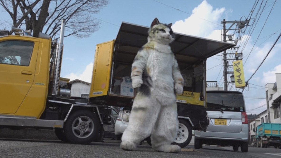 You’ve cat to be kidding me! Giant feline serves purrfect potato