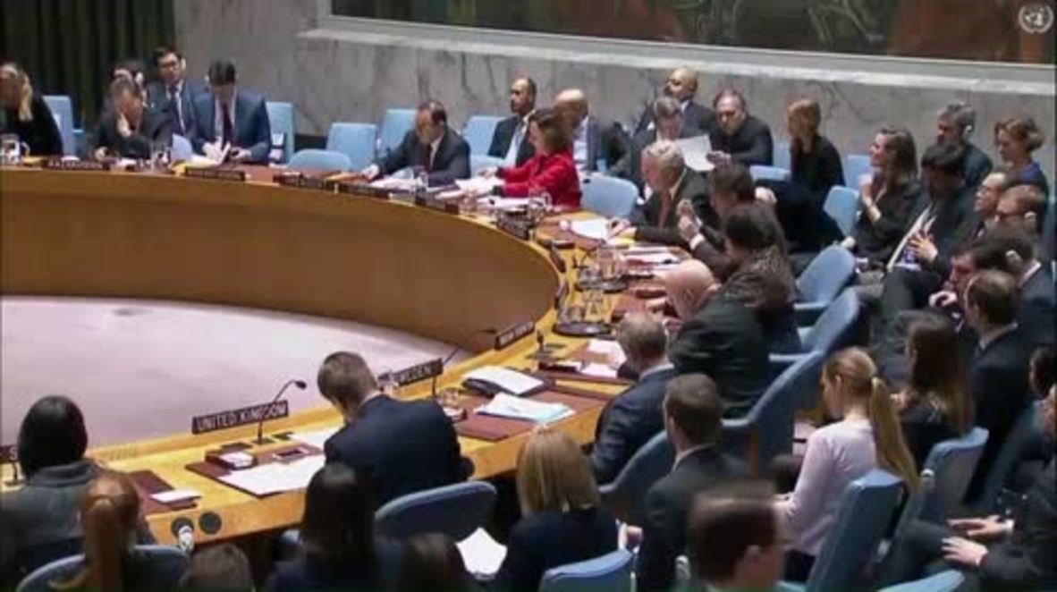 UN: UN Security Council votes for Syrian ceasefire