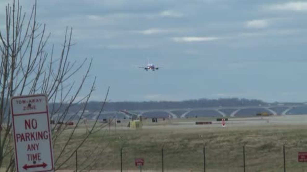 'Windmageddon' rocks planes, topples trees and lamp posts in Washington DC