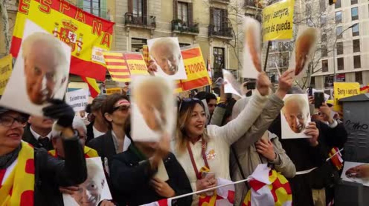 Spain: Satirical 'Tabarnia' secession rally held against Catalan independence