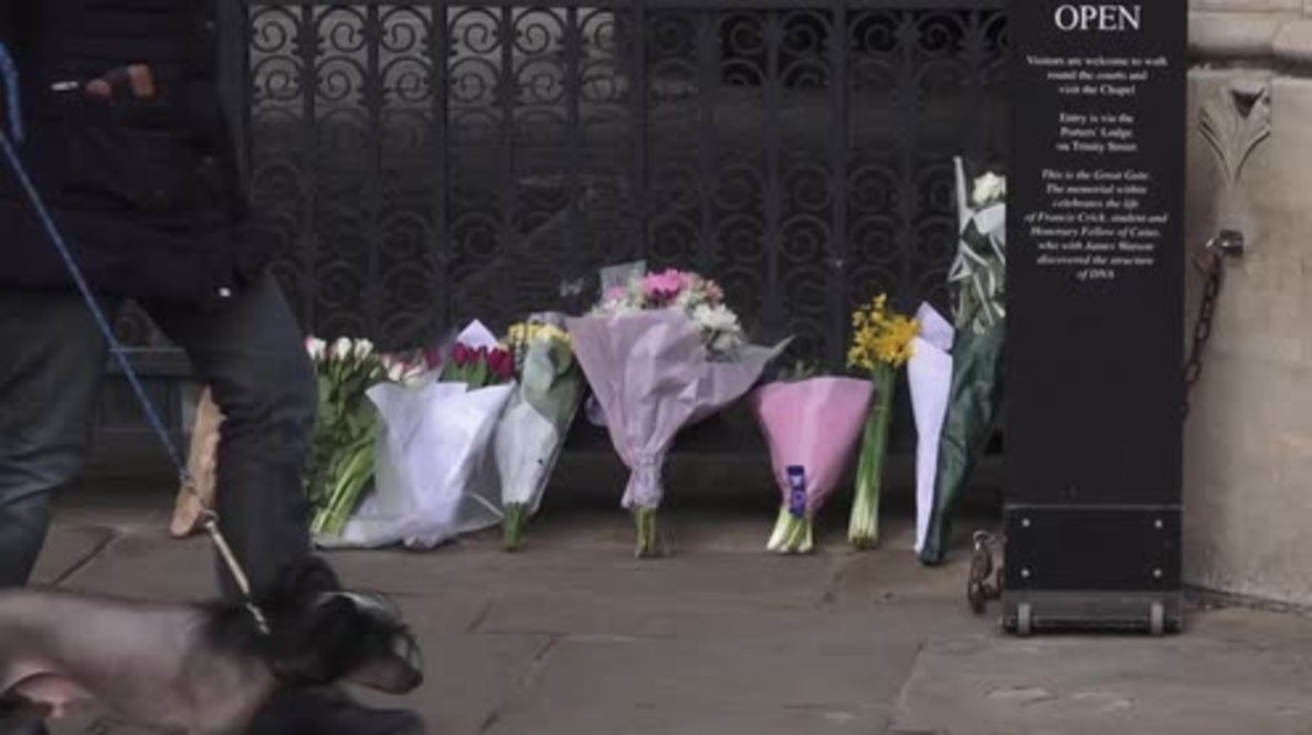 Reino Unido: Estudiantes de Cambridge honran la muerte de Stephen Hawking