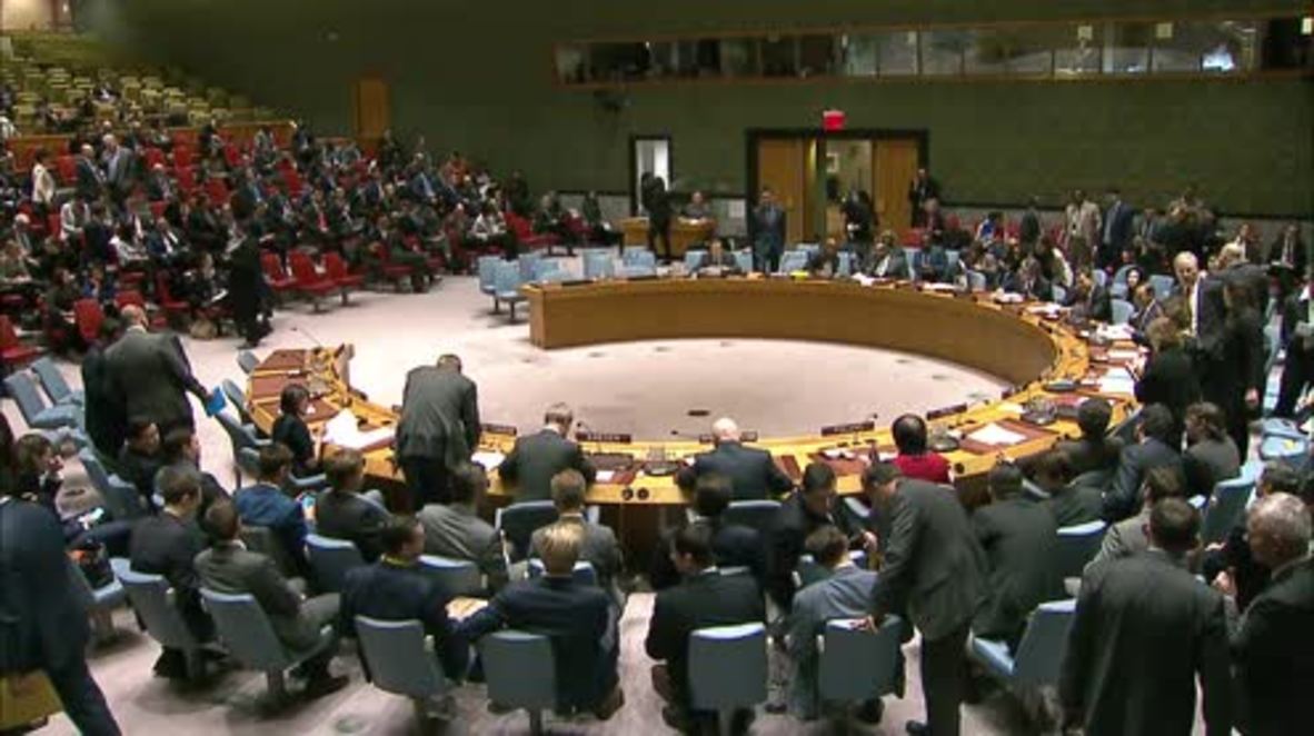 UN: 'Cui bono?' - Russian envoy asks UNSC of Salisbury case