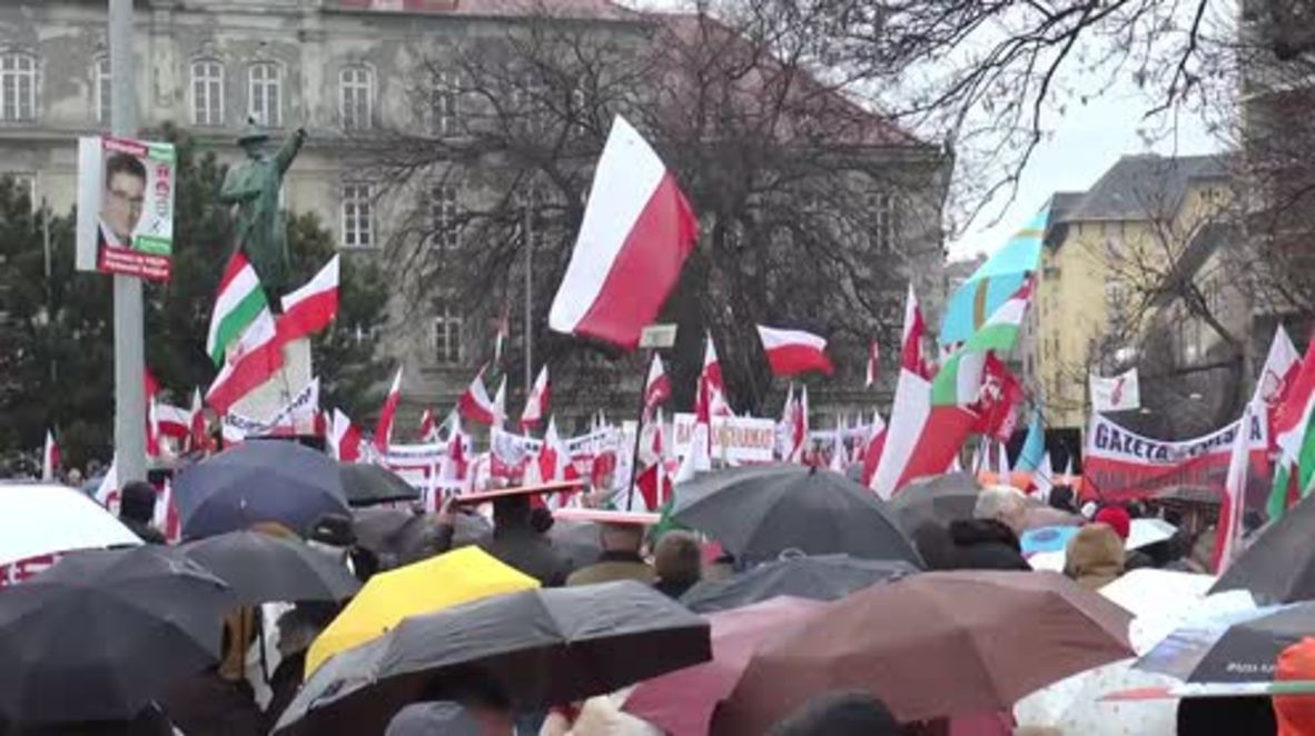 Hungary: Orban supporters hold mass 'Peace March' in Budapest