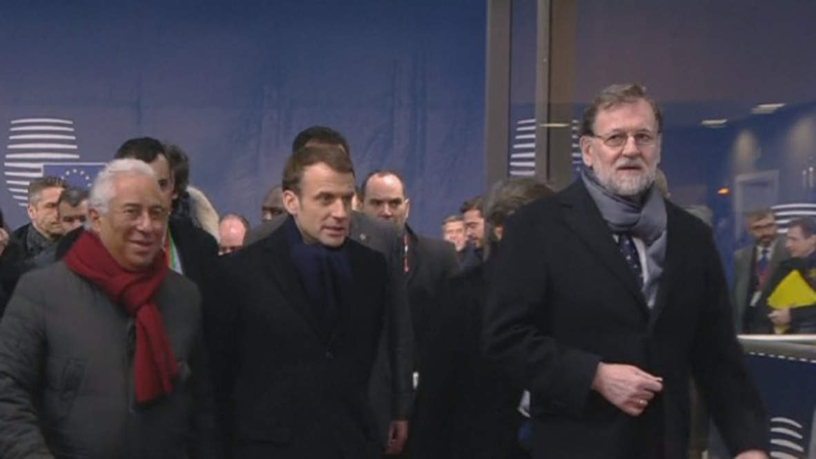 Belgium: Top dogs meet for second day of European Council summit
