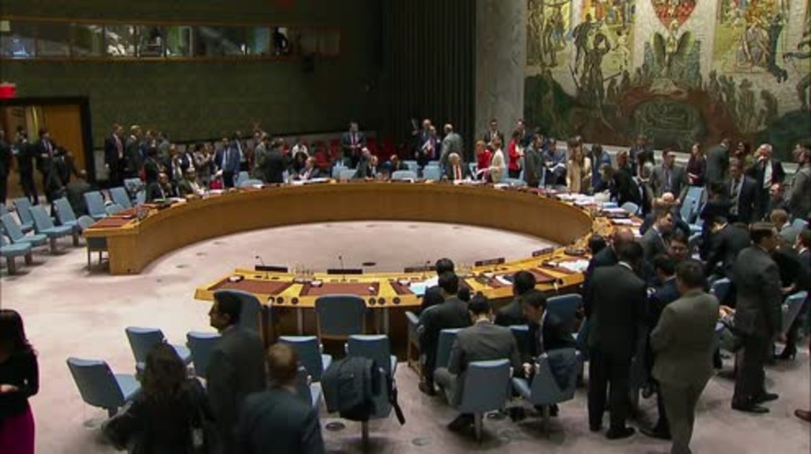UN: British UN envoy says Karl Marx 'turning in his grave' over Russia's actions