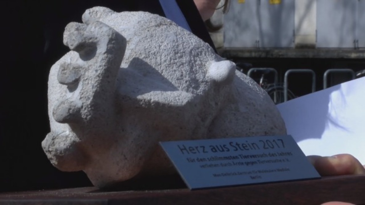 Germany: Berlin centre awarded 'Heart of Stone' for worst animal experiment