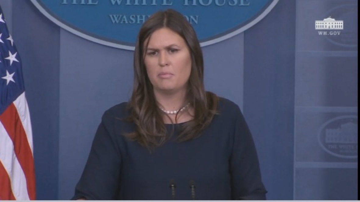 USA: White House 'confident' Syrian gov. 'responsible' for alleged chemical attack