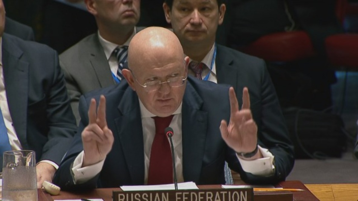 UN: US and allies 'ignored calls for sanity' - Russia's rep. Nebenzya
