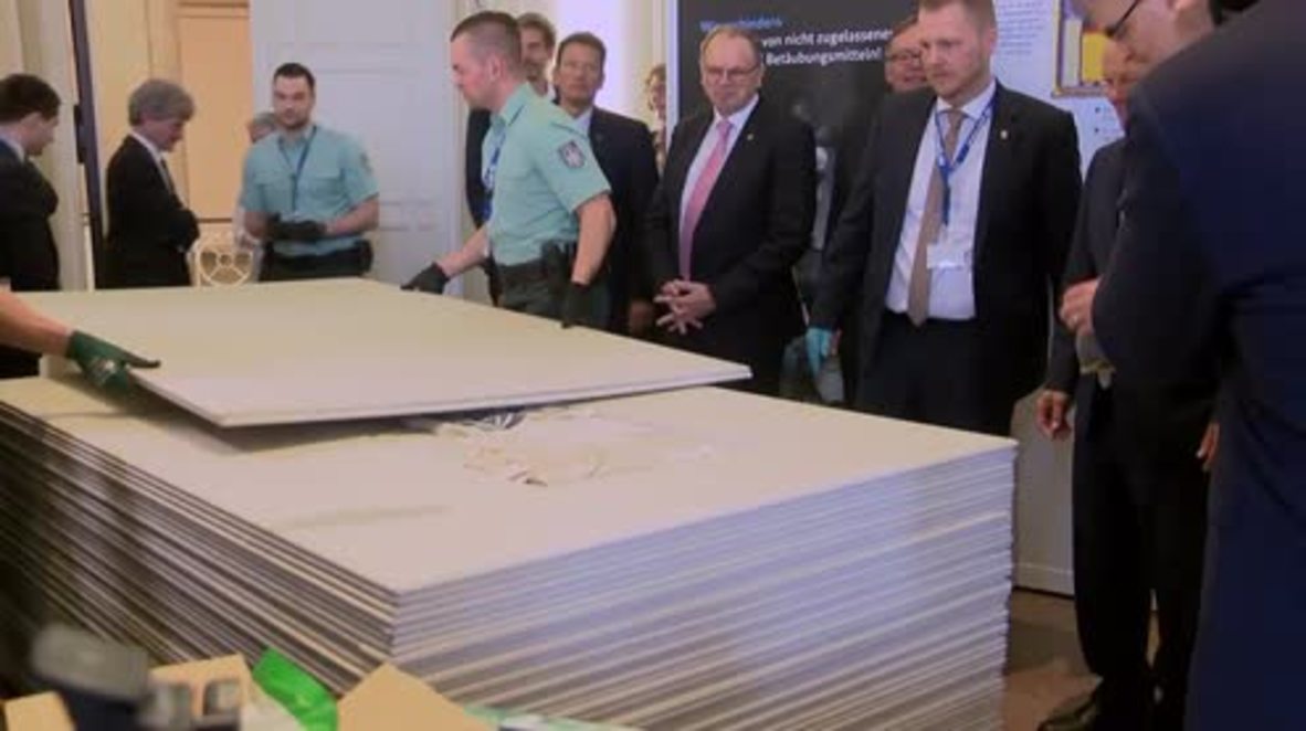 Alemania: Descubren cocaína, pastillas y armas de fuego en la aduana