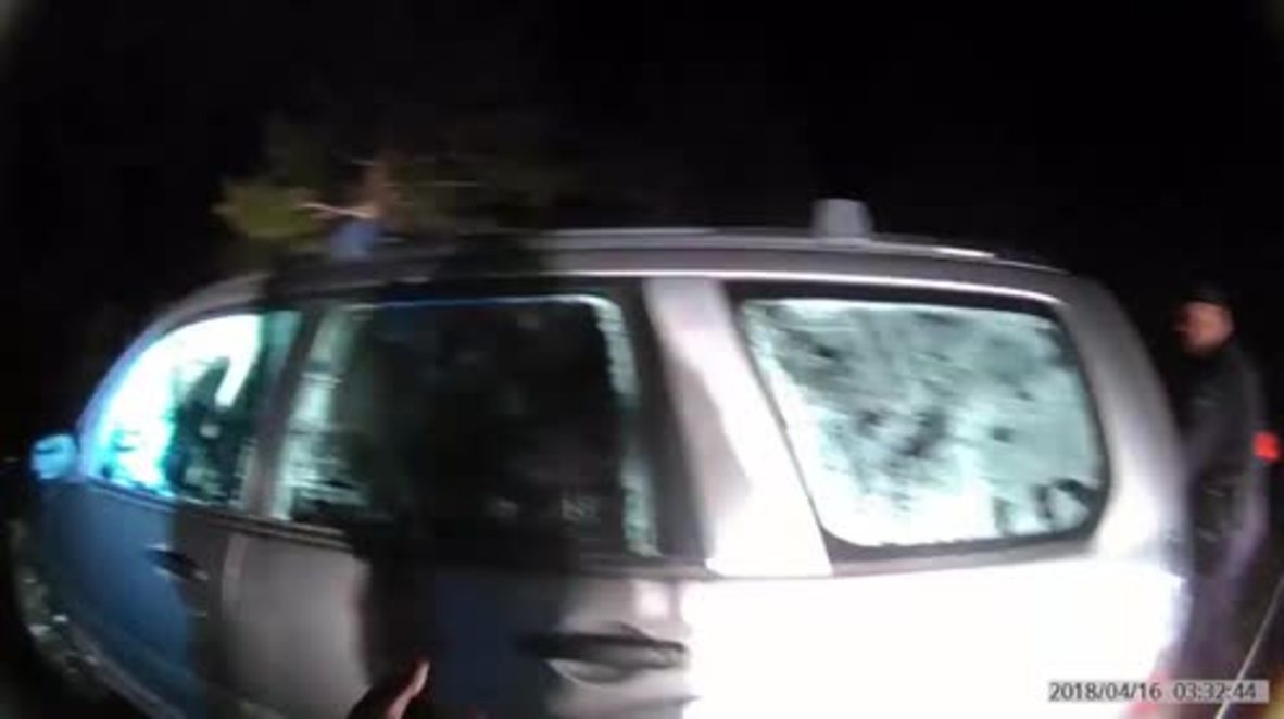 Watch trespassing bear being rescued after it locks itself inside car