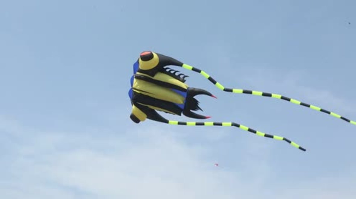 China: 10,000 kites fly high in breezy Weifang festival