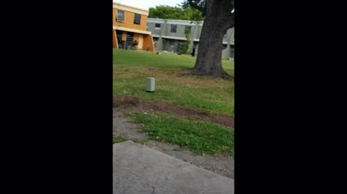 EE.UU.: Un agente de policía de Miami es suspendido por patear la cabeza a un detenido esposado en el suelo