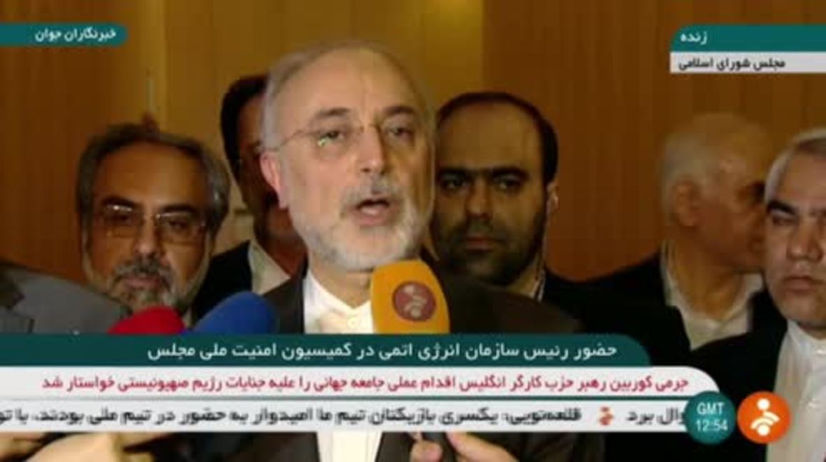 Irán: Europa debería compensar la salida de EE.UU. del JCPOA - Salehi