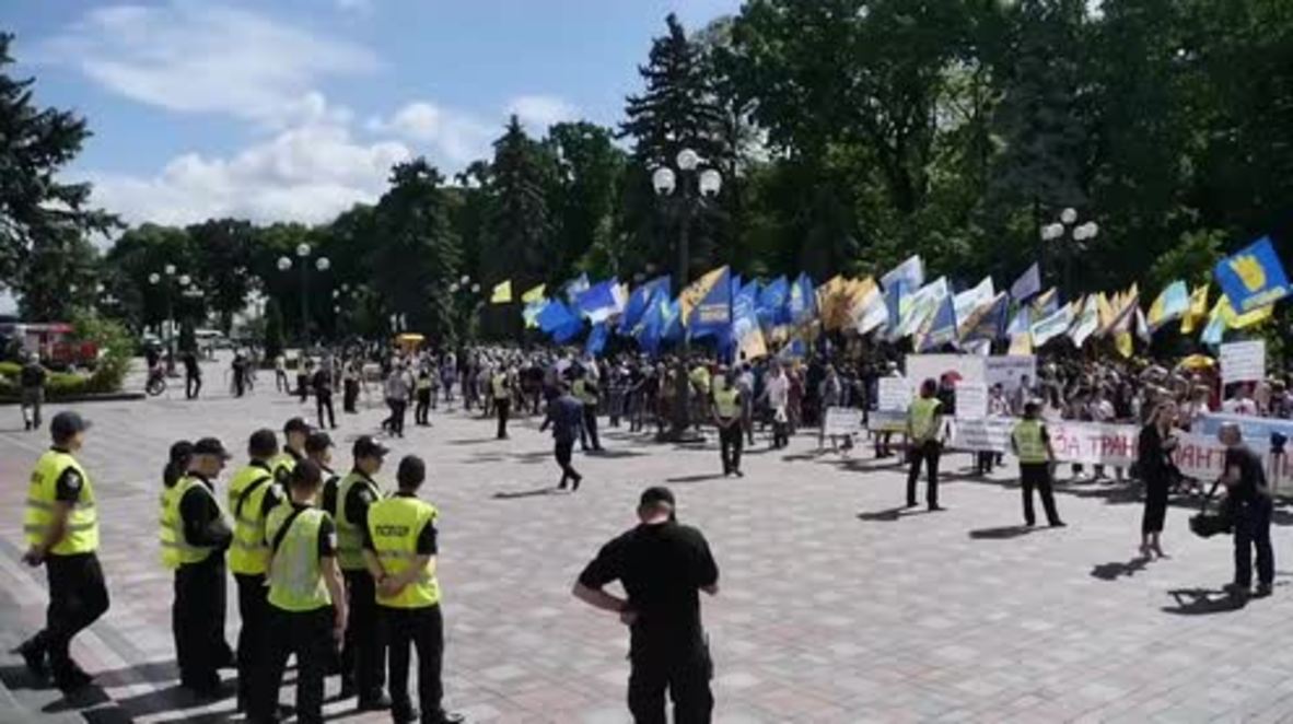 Ukraine: Nationalists rally for electoral reforms in Kiev